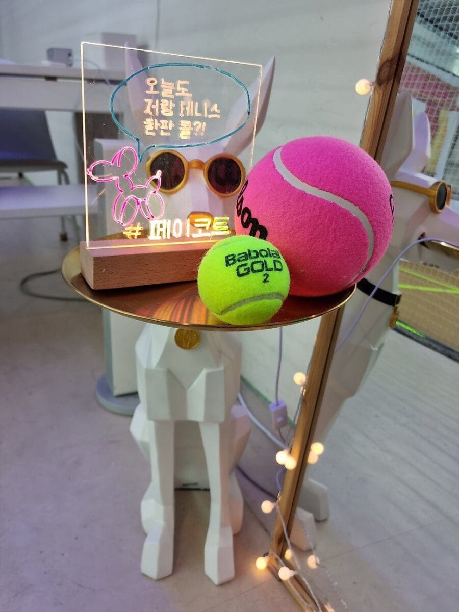 카드 머신에서 금액을 충전해야 한다. 10,000원이 최소인듯. 그러면 카드가 나오고 그걸 눌러서 볼 머신을