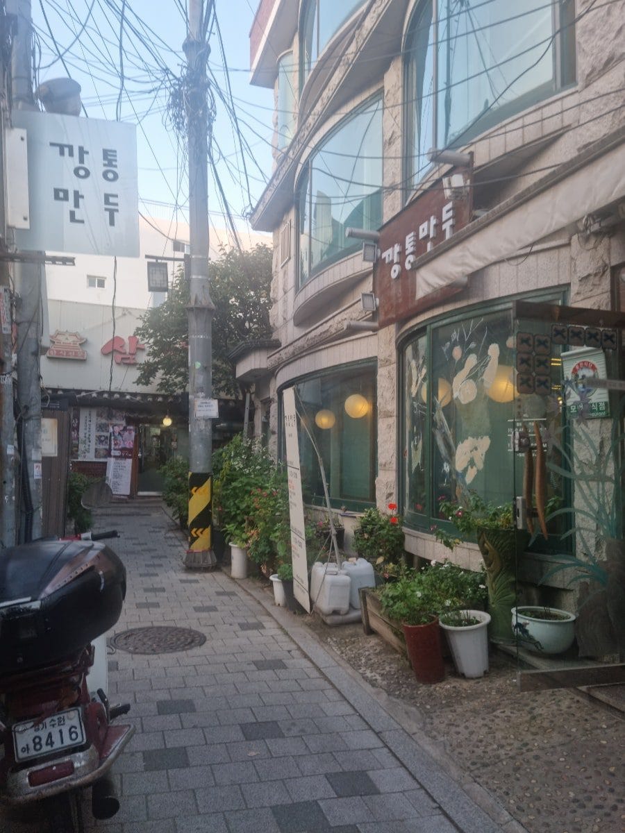 제주에 사는 오랜 친구를 만나러 방문한 곳. 서울에 오면 얘 덕분에 안가본 동네에, 안가본 맛집을 찾아보게