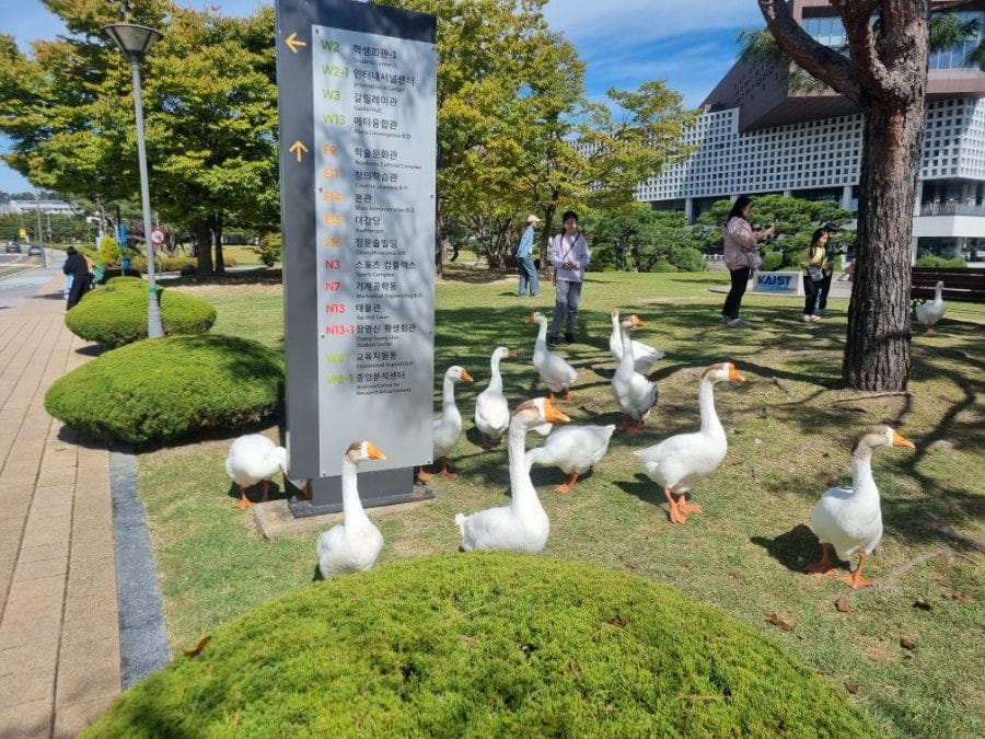 오줌 싸는 개 석상이 인상적이어서 한 컷 찍었다.