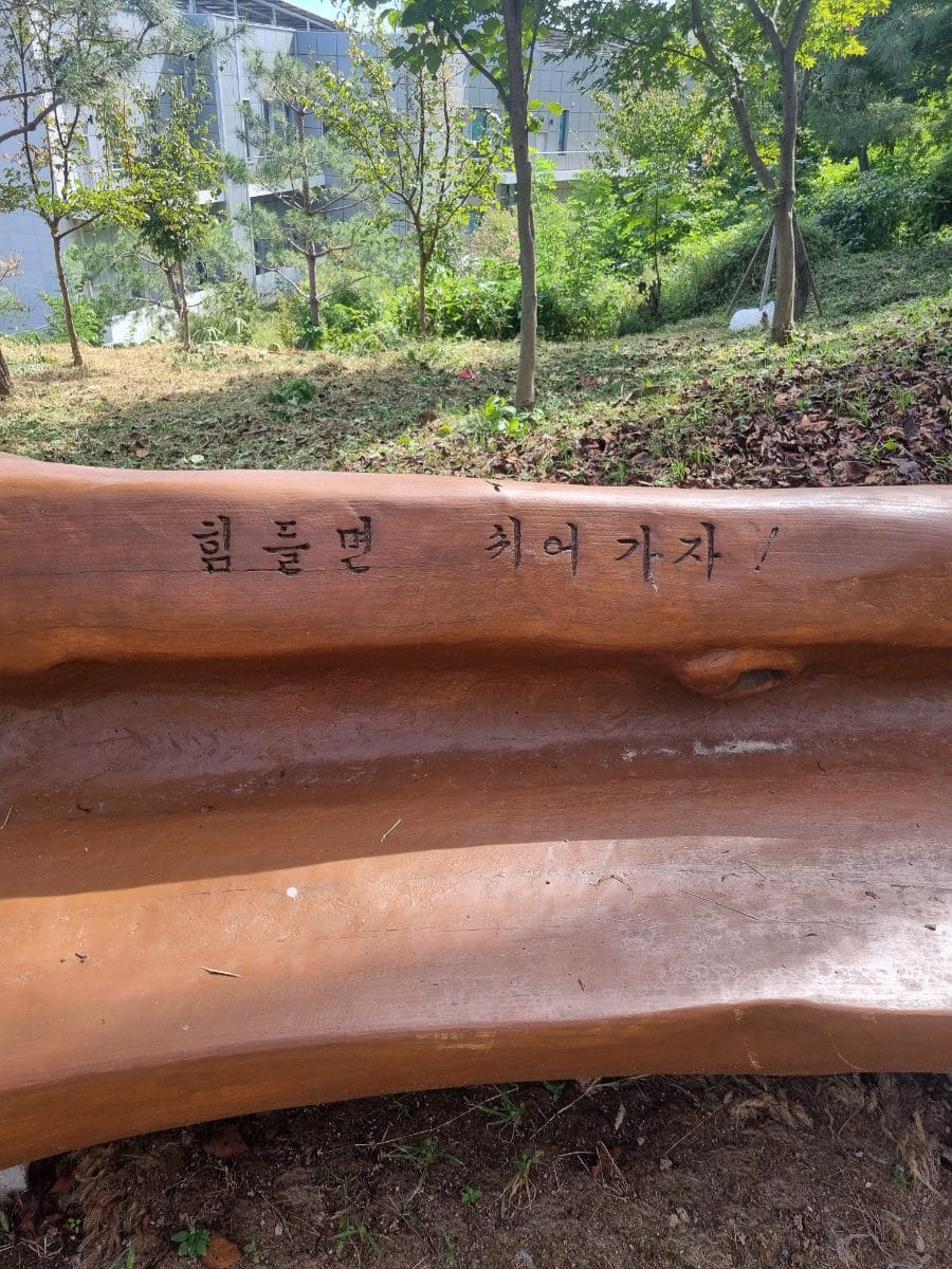 하늘도 높고 파래서 유난히 더 좋았던 날씨도 한몫했다.