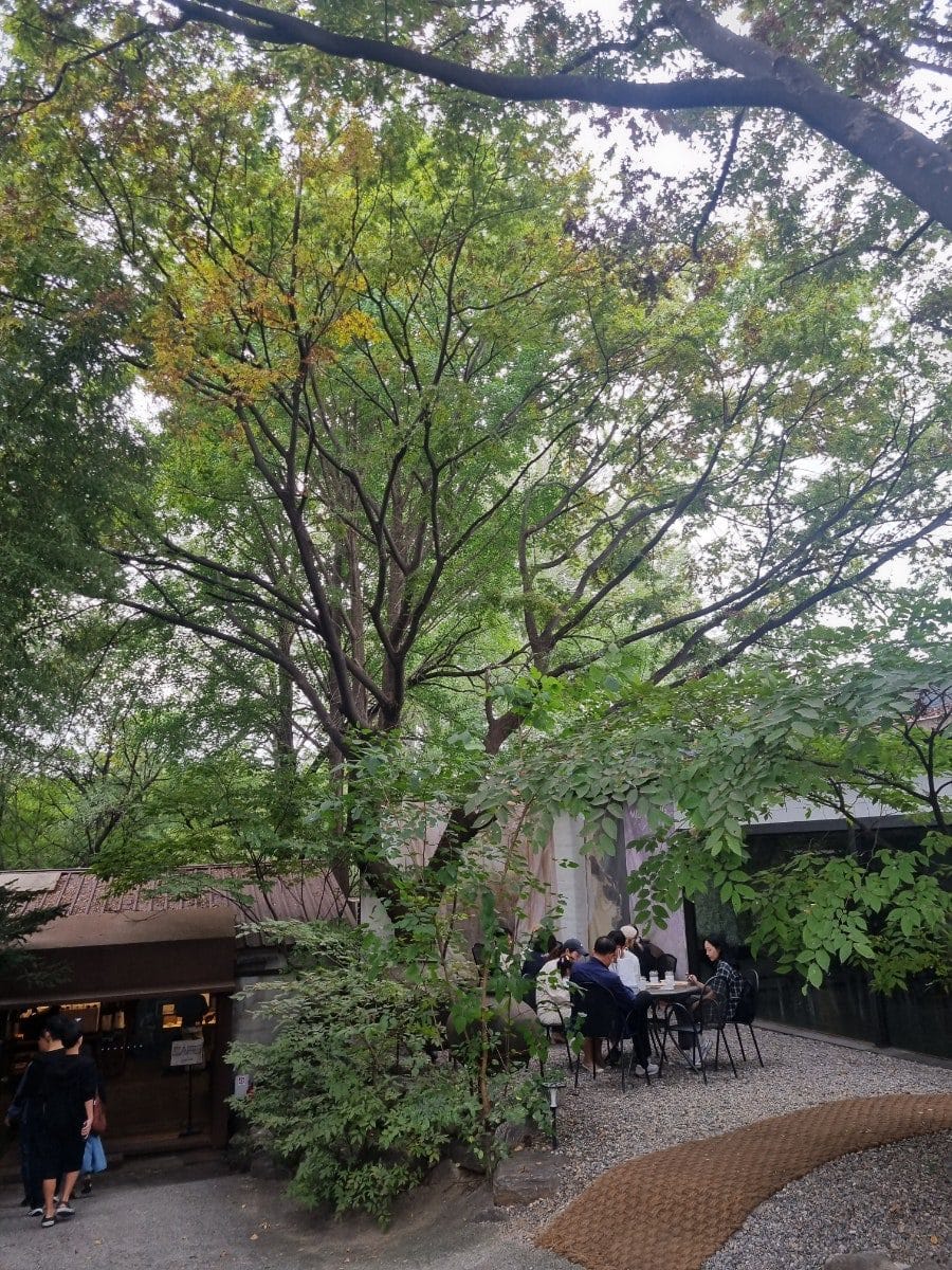 갤러리 카페라고 하는데 입구부터 카페까지 야외공간도 이렇게 조성되어 있고, 안쪽에 건물도 여러채 있다.