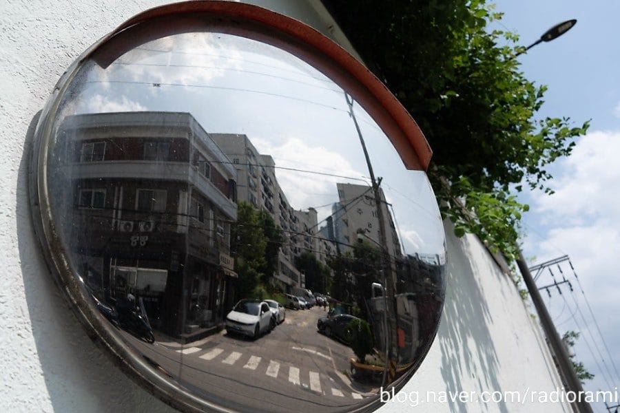 서울을 찍었다. 요시고병에 걸린 남자친구 작품